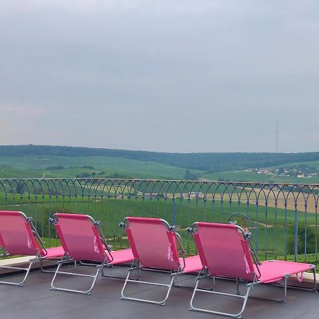 Villa Floressens En Champagne Terrasse Privative Sur Le Vignoble Fleury-la-Riviere Exterior foto