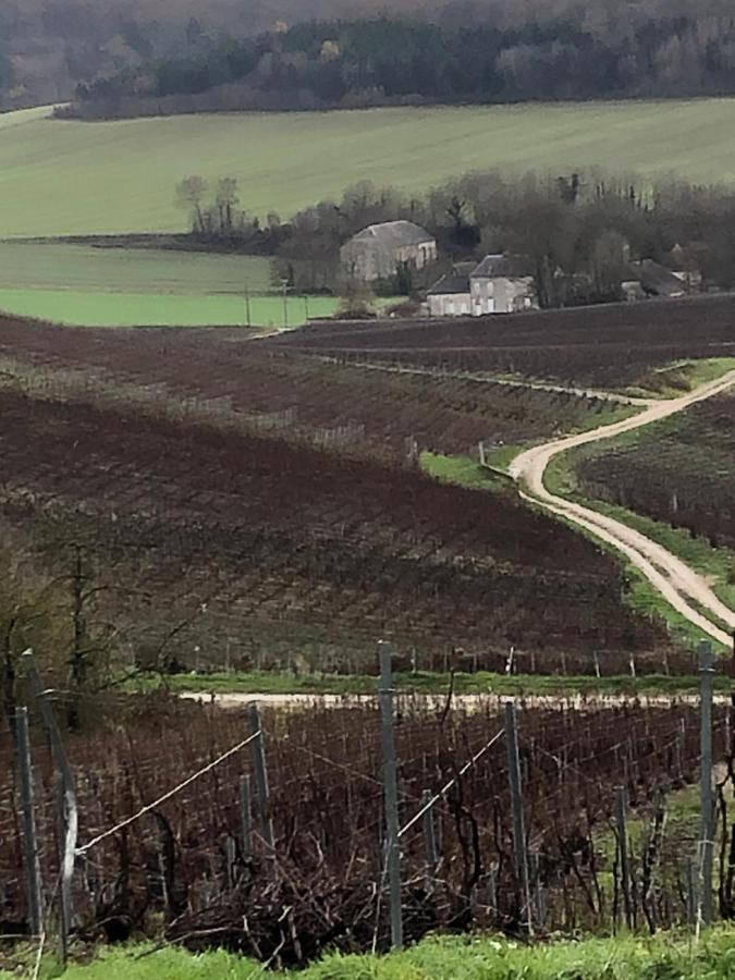 Villa Floressens En Champagne Terrasse Privative Sur Le Vignoble Fleury-la-Riviere Exterior foto