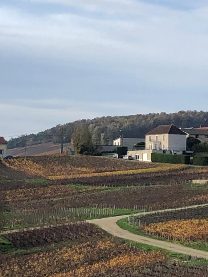 Villa Floressens En Champagne Terrasse Privative Sur Le Vignoble Fleury-la-Riviere Exterior foto