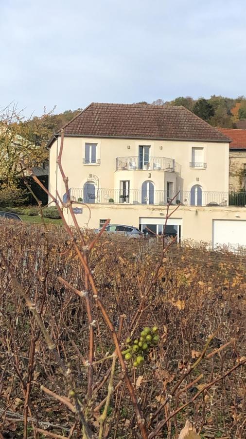 Villa Floressens En Champagne Terrasse Privative Sur Le Vignoble Fleury-la-Riviere Exterior foto