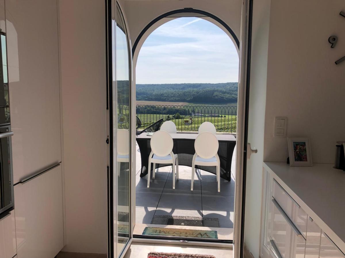 Villa Floressens En Champagne Terrasse Privative Sur Le Vignoble Fleury-la-Riviere Exterior foto