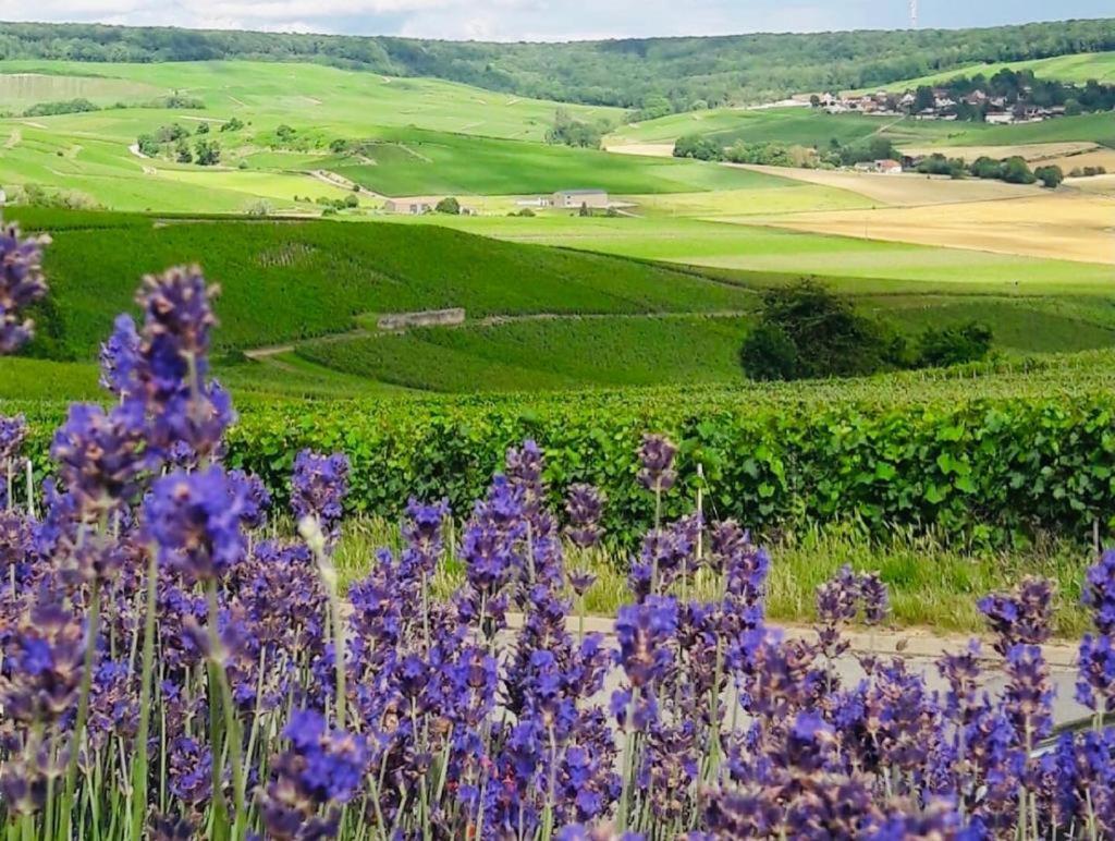 Villa Floressens En Champagne Terrasse Privative Sur Le Vignoble Fleury-la-Riviere Exterior foto