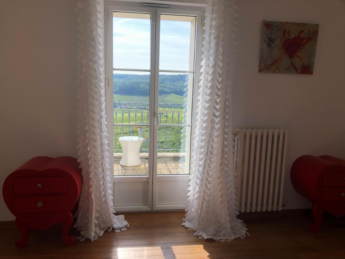 Villa Floressens En Champagne Terrasse Privative Sur Le Vignoble Fleury-la-Riviere Exterior foto