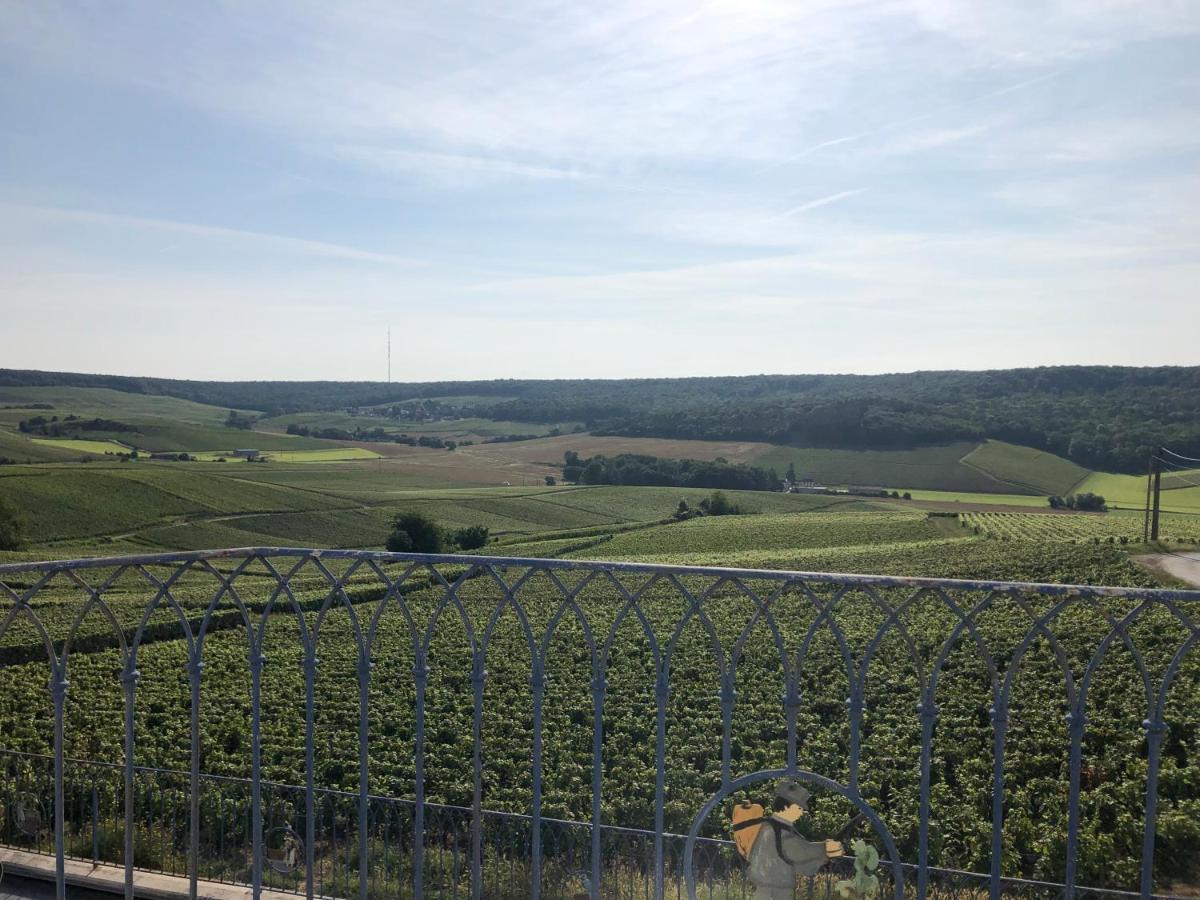 Villa Floressens En Champagne Terrasse Privative Sur Le Vignoble Fleury-la-Riviere Exterior foto
