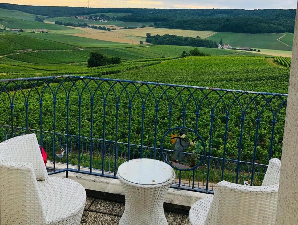 Villa Floressens En Champagne Terrasse Privative Sur Le Vignoble Fleury-la-Riviere Exterior foto