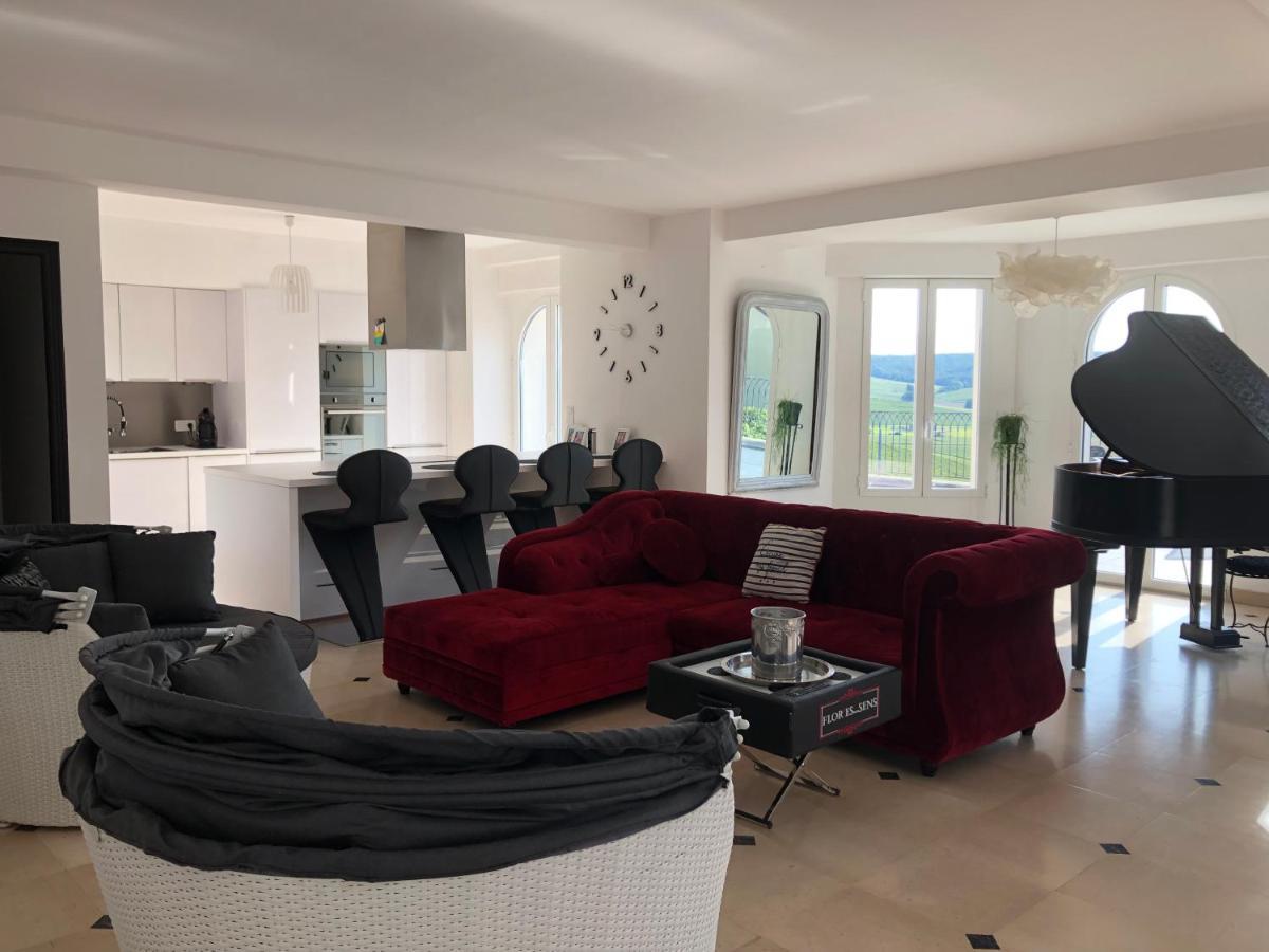 Villa Floressens En Champagne Terrasse Privative Sur Le Vignoble Fleury-la-Riviere Exterior foto