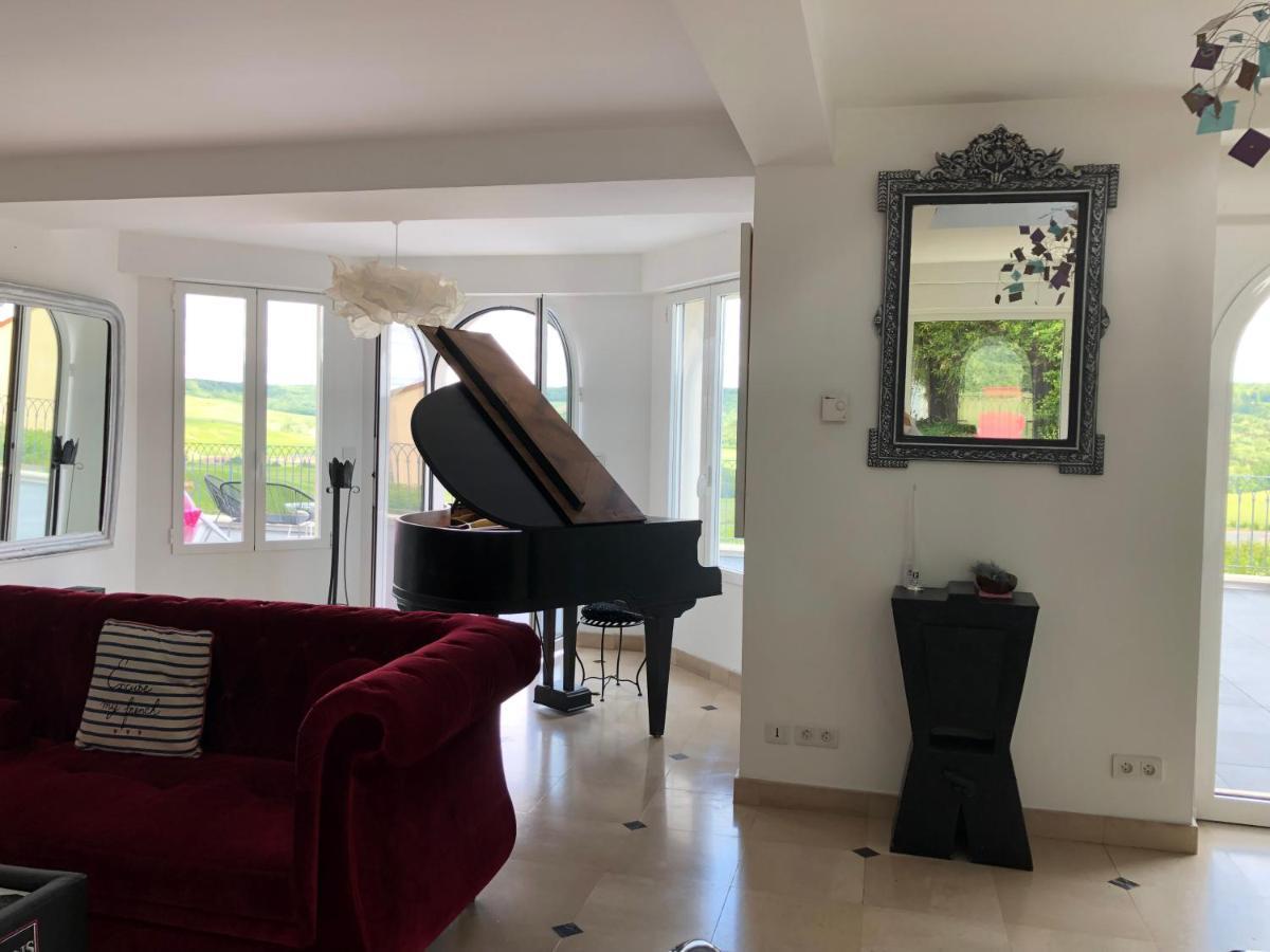 Villa Floressens En Champagne Terrasse Privative Sur Le Vignoble Fleury-la-Riviere Exterior foto