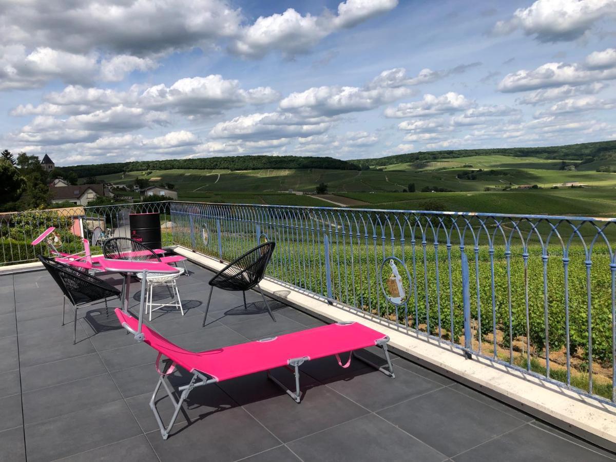 Villa Floressens En Champagne Terrasse Privative Sur Le Vignoble Fleury-la-Riviere Exterior foto