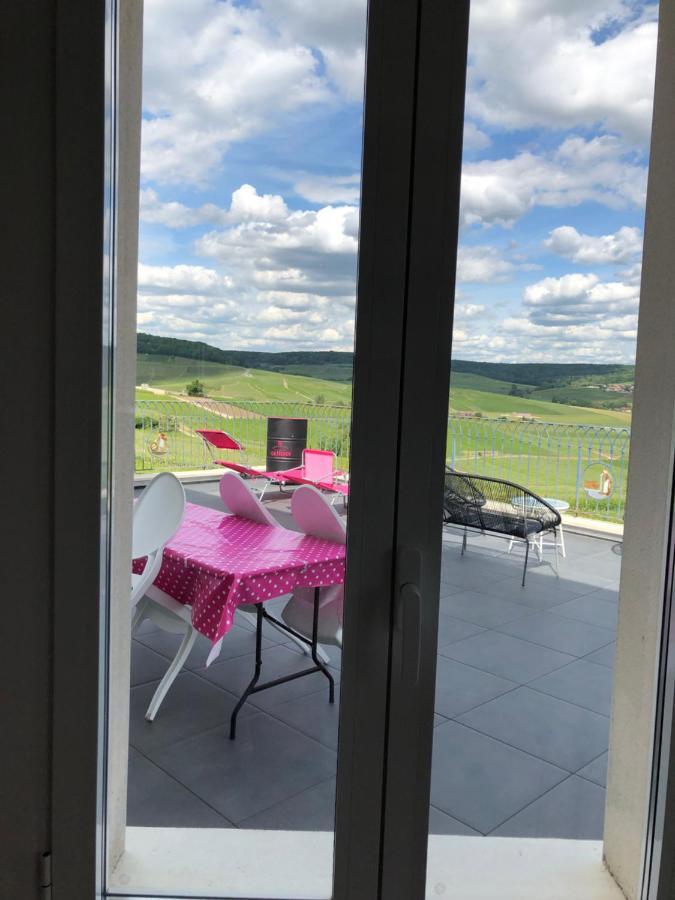 Villa Floressens En Champagne Terrasse Privative Sur Le Vignoble Fleury-la-Riviere Exterior foto