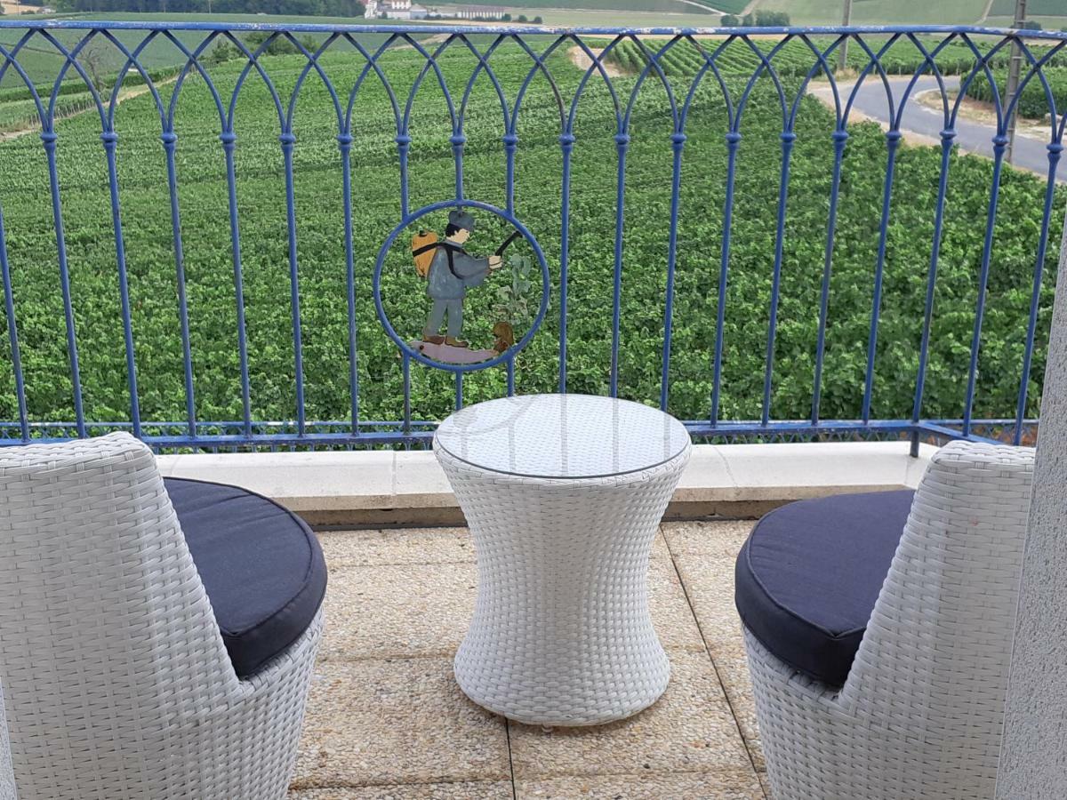 Villa Floressens En Champagne Terrasse Privative Sur Le Vignoble Fleury-la-Riviere Exterior foto